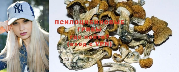 спайс Краснослободск