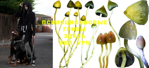 spice Красноперекопск