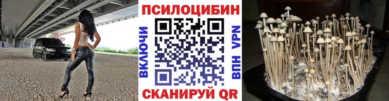 Купить закладки  Переславль-Залесский  Галлюциногенные грибы мицелий 